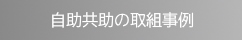 浸水被害に対する自助共助に関する取組事例